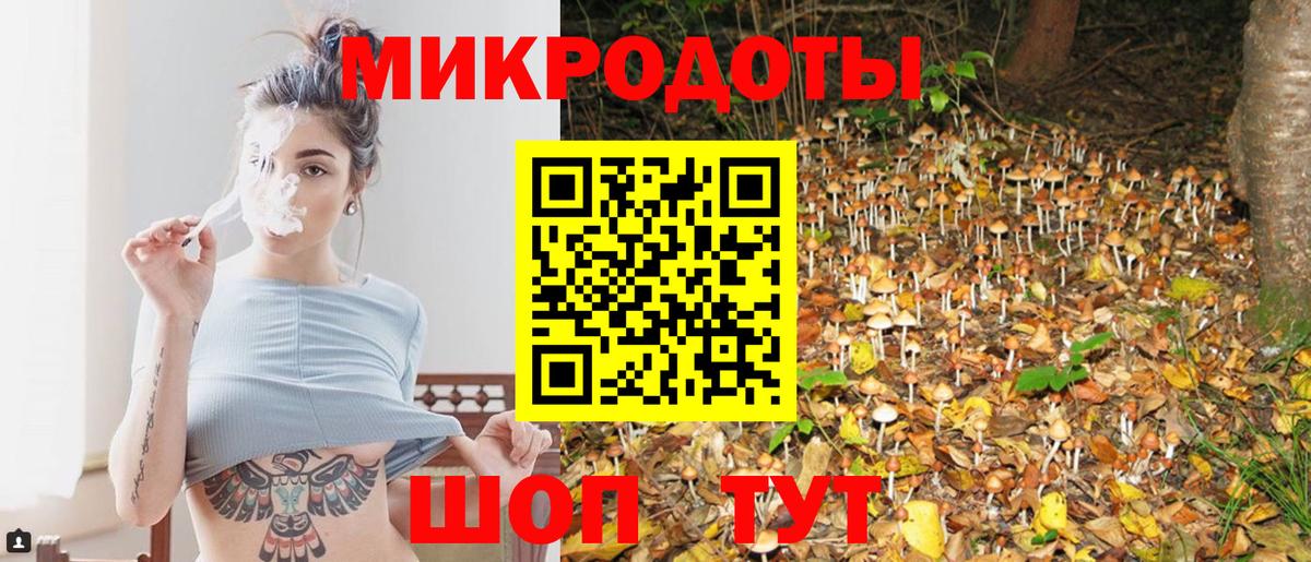 Новороссийск  Галлюциногенные грибы мицелий  Вход с VPN 