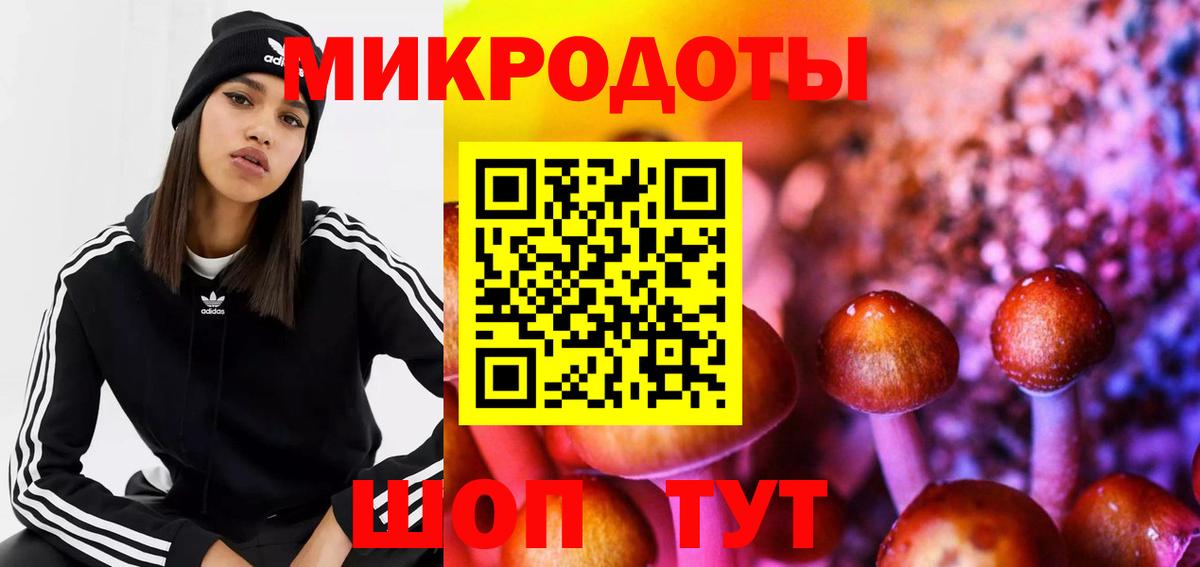 Псилоцибиновые грибы Cubensis Новороссийск